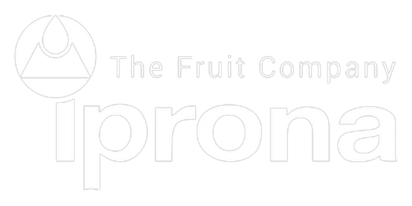 Iprona – Erklärvideo Kunde