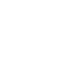 Erklärvideo Südtirol - Logo X TIMBER